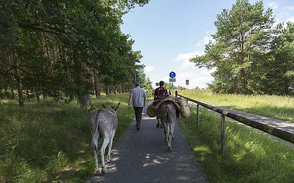 Eselwanderung im Fläming