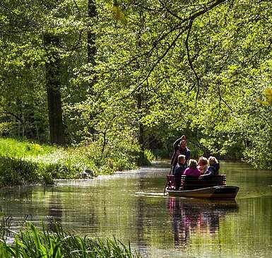 Gemütliche Kahnfahrten im Spreewald