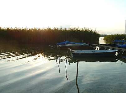 Ruderboote auf dem Oberuckersee in der Uckermark