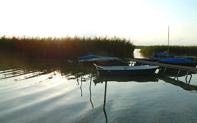 Ruderboote auf dem Oberuckersee in der Uckermark