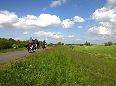 Radfahrer auf dem Oder-Neiße-Radweg