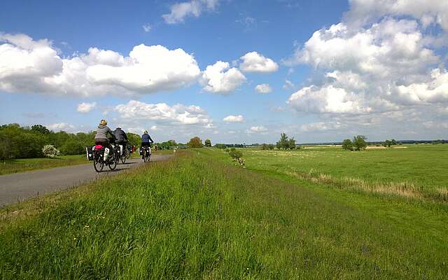 Radfahrer auf dem Oder-Neiße-Radweg