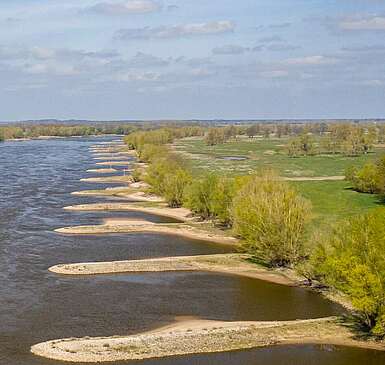 Biosphärenreservat Flusslandschaft Elbe-Brandenburg