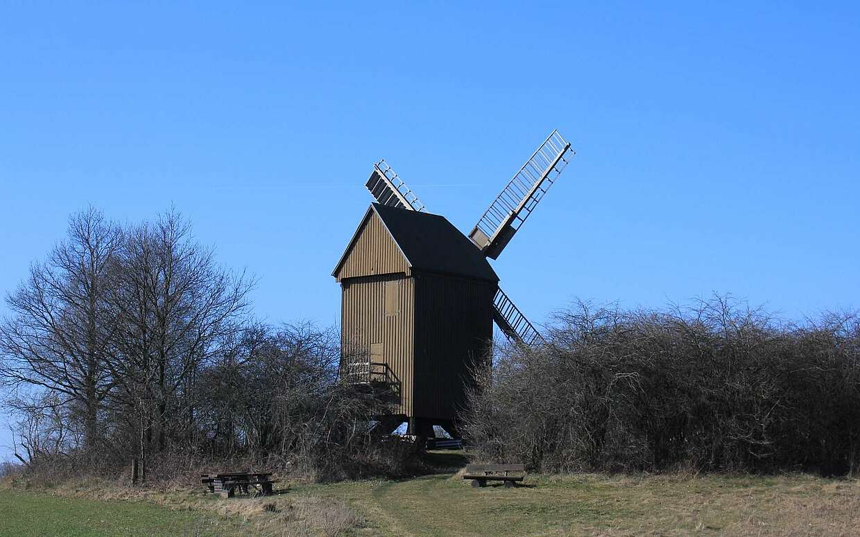 Historische Bockwindmühle Borne bei Bad Belzig