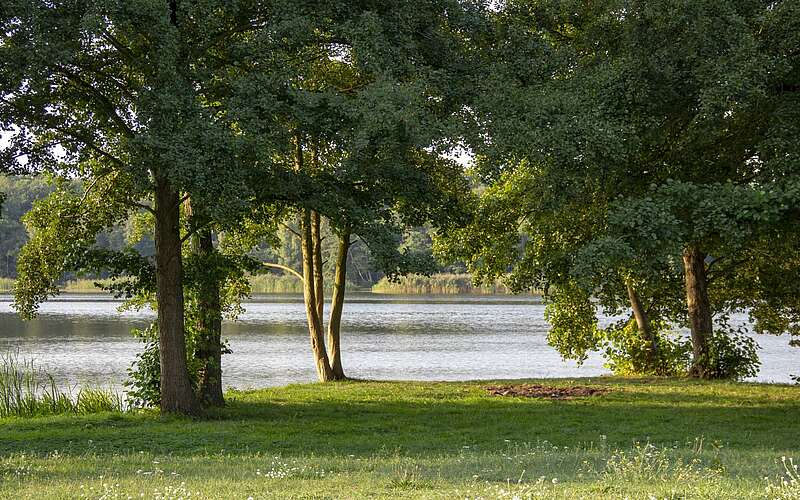 



        
            Naturbadestelle Wolzensee bei Rathenow,
        
    

        
            Foto: ScottyScout
        
        
    