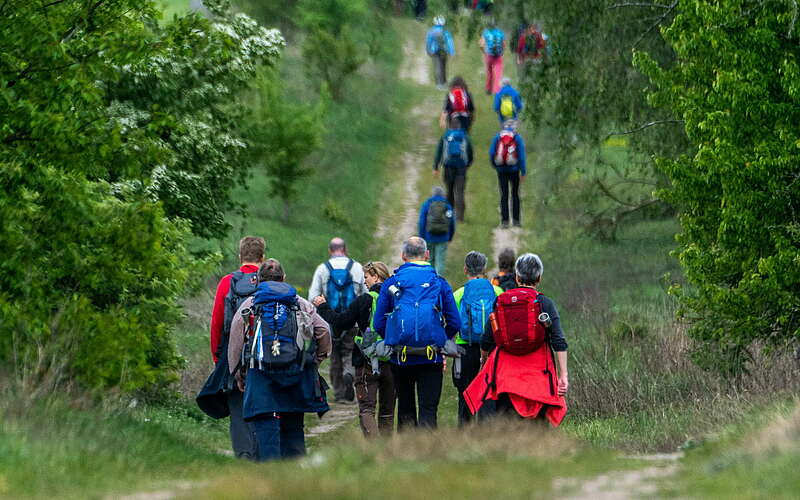 



        
            Fontane Wandermarathon 2019,
        
    

        Foto: Tourismusverband Ruppiner Seenland e.V./Daniel Marienfeld
    