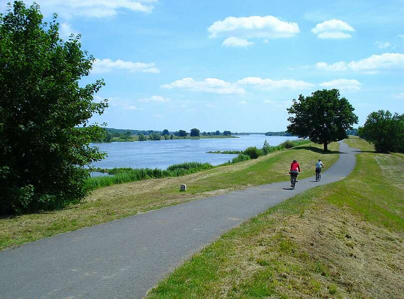 Radfahrer auf dem Oder-Neiße-Radweg
