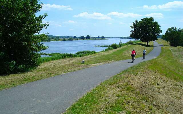 Radfahrer auf dem Oder-Neiße-Radweg