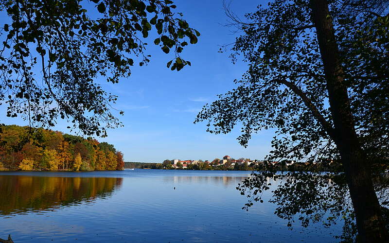 



        
            Straussee mit Blick auf Strausberg,
        
    

        Foto: TMB-Fotoarchiv/Matthias Schäfer
    