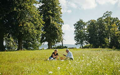 Picknick auf der Blumenwiese