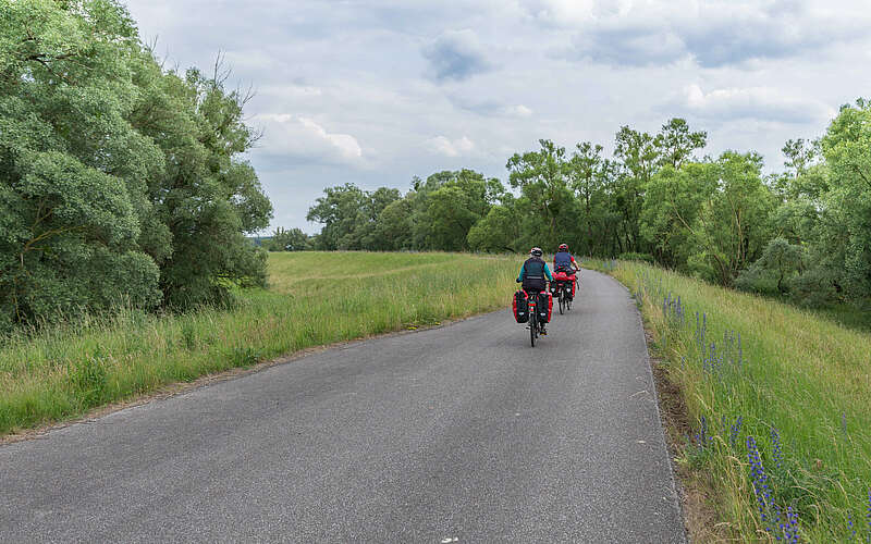 



        
            Radfahrer im Nationalpark Unteres Odertal,
        
    

        Foto: TMB-Fotoarchiv/Steffen Lehmann
    