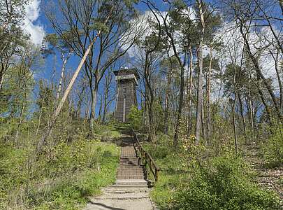 Aussichtsturm Kranichberg in Woltersdorf