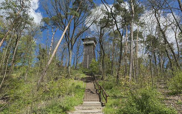 Aussichtsturm Kranichberg in Woltersdorf