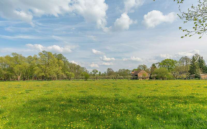 



        
            Wiesenlandschaft bei Burg im Spreewald ,
        
    

        Foto: TMB-Fotoarchiv/Steffen Lehmann
    