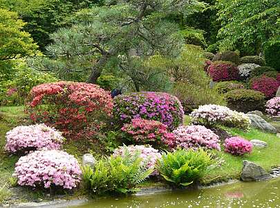 Bunte Blütenpracht im japanischen Bonsaigarten Ferch