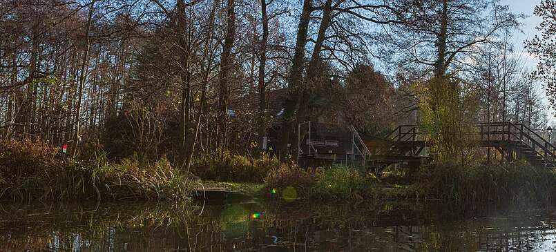 Spreewald: Glücksmomente im Winter