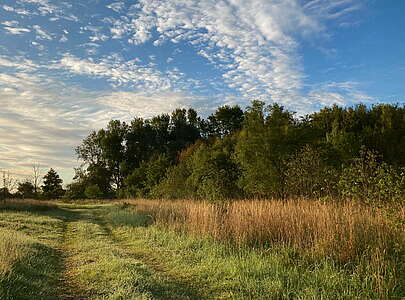 Unterwegs im Feld