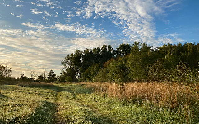 Unterwegs im Feld