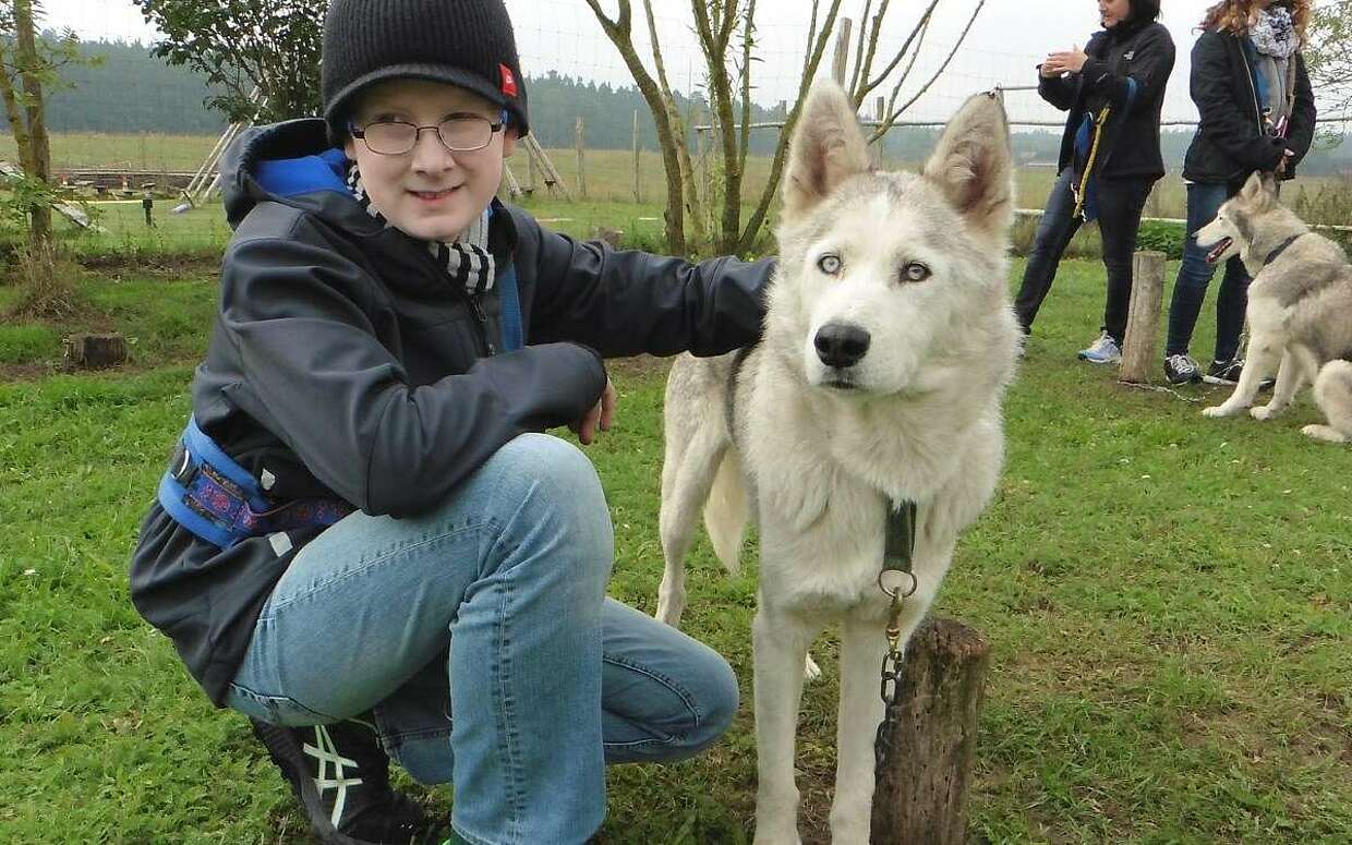 Freizeit mit Huskies barrierefrei