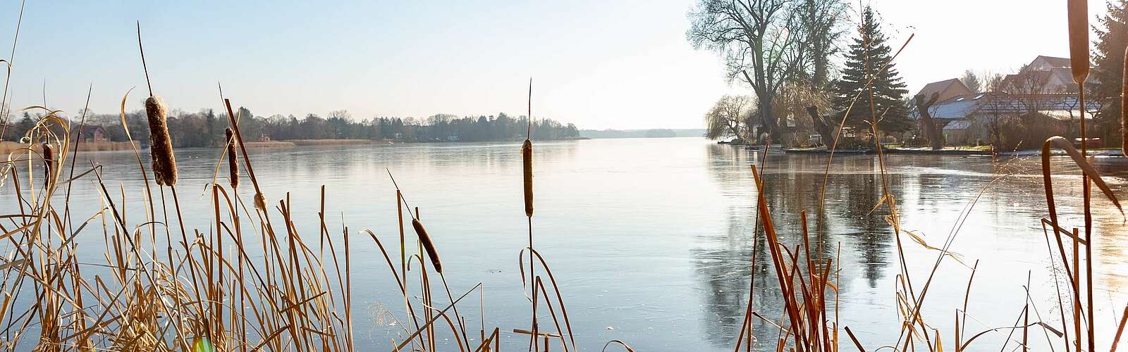 Müllroser See im Winter,
        
    

        Foto: TMB-Fotoarchiv/Steffen Lehmann