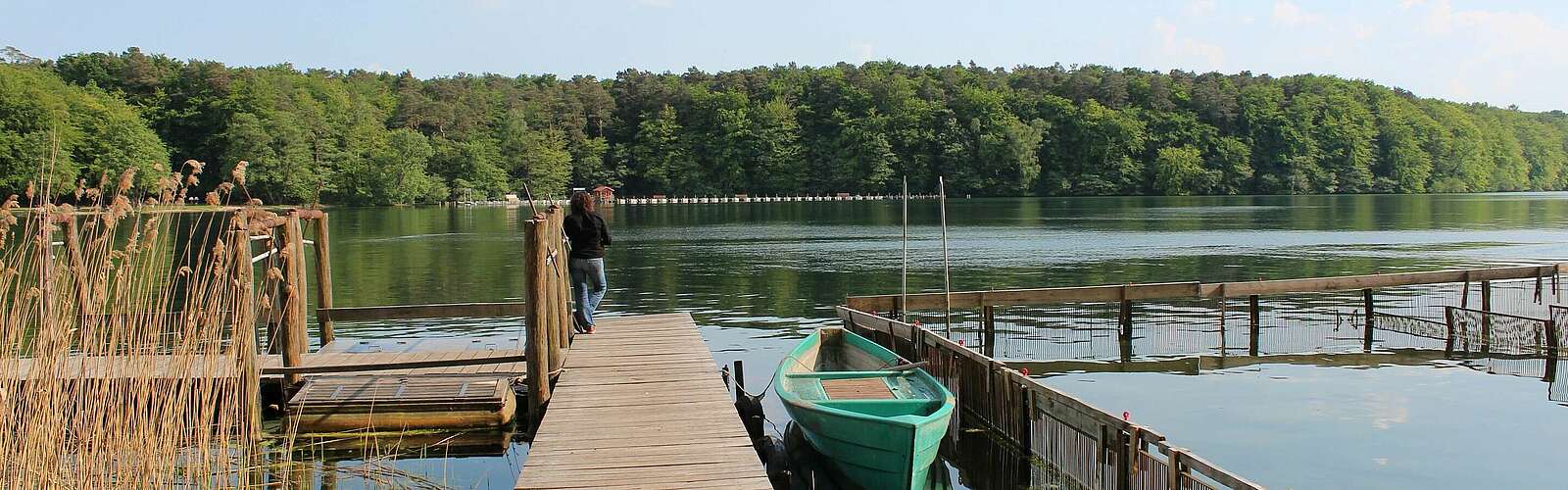 Der Glasklare Stechlinsee,
        
    

        Picture: Tourismusverband Ruppiner Seenland e.V./Peter Krause