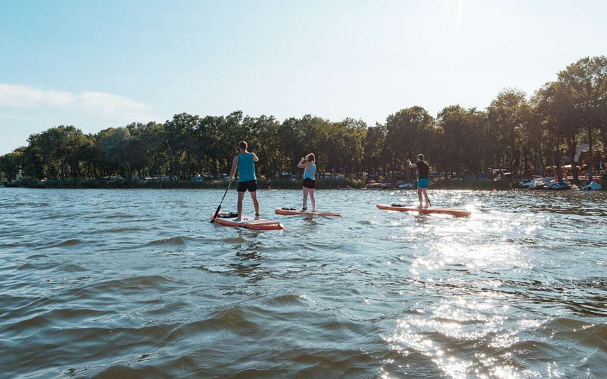 Auf SUP-Boards dem Sonnenuntergang entgegen