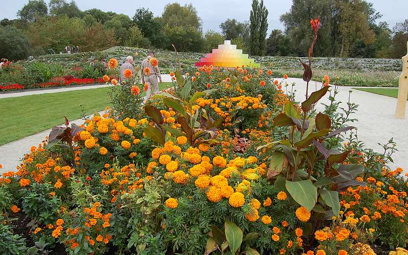 



        
            Blütenpracht zur Landesgartenschau im Schlosspark Oranienburg,
        
    

        Foto: TMB-Fotoarchiv/Claus-Dieter Steyer
    