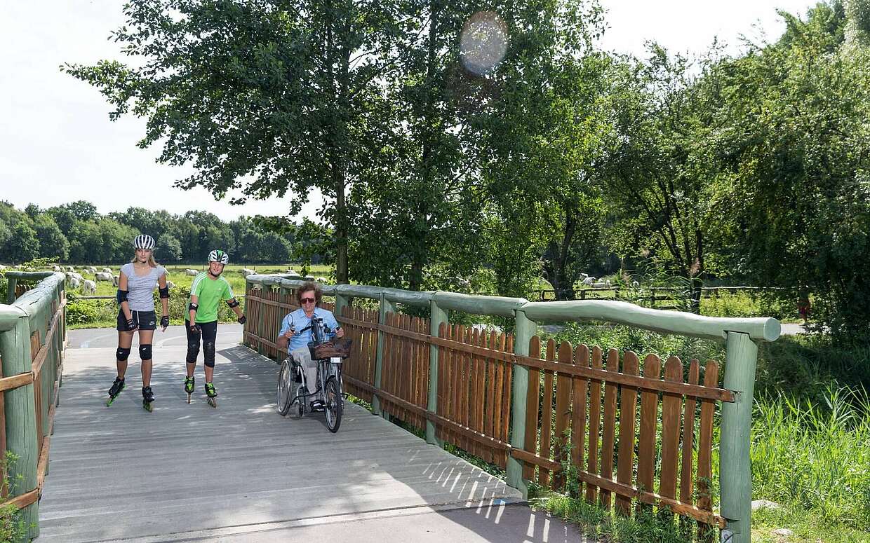 Handbike und Skater auf der Flaeming-Skate