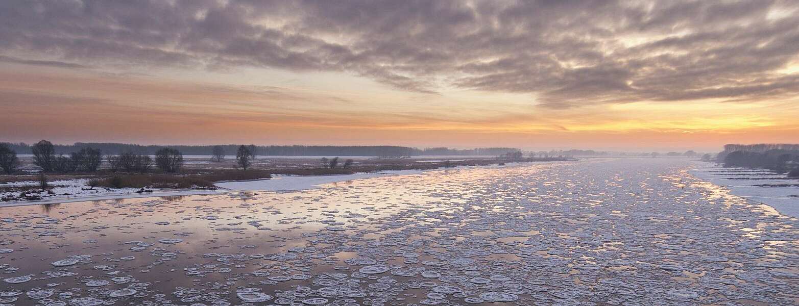 Eisgang auf der Elbe bei Wittenberge,
        
    

        Foto: TMB-Fotoarchiv/Dieter Damschen