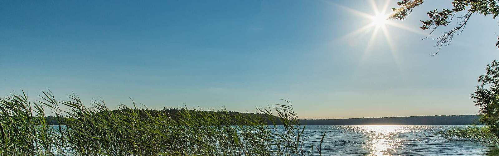 Stechlinsee im Ruppiner Seenland,
        
    

        Foto: TMB-Fotoarchiv/Steffen Lehmann