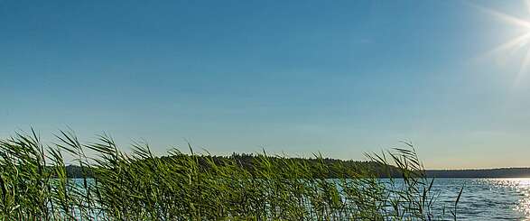 Auf den Spuren Fontanes am Stechlinsee