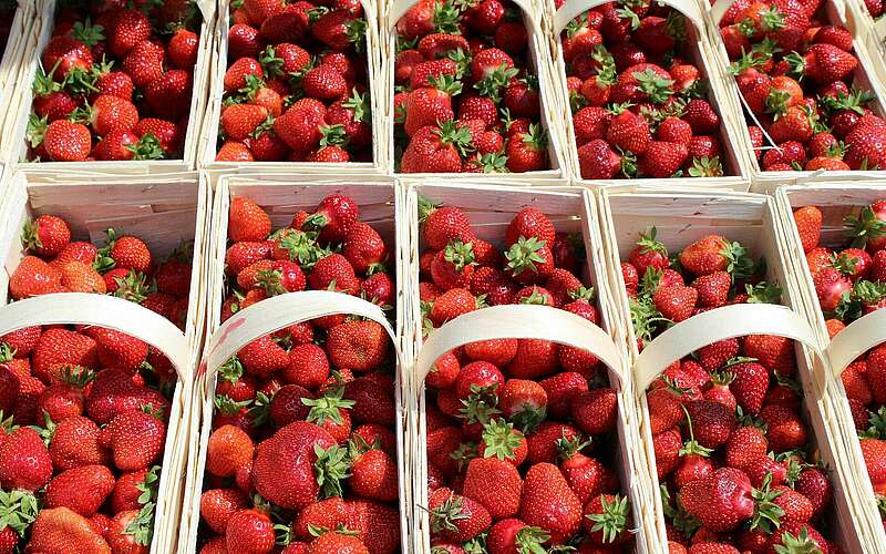 



        
            Erdbeeren aus Klaistow,
        
    

        
            Foto: Buschmann &amp; Winkelmann GmbH
        
        
    