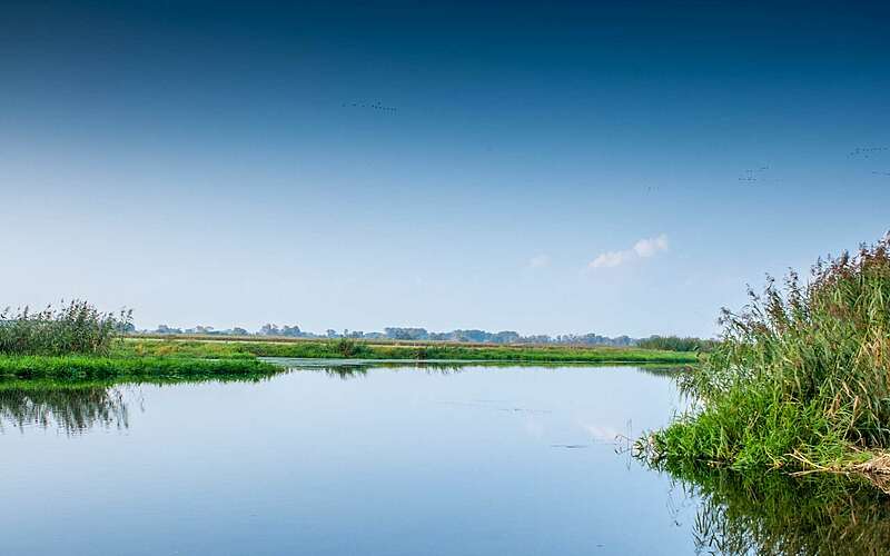 



        
            Havel bei Gülpe,
        
    

        Foto: TMB-Fotoarchiv/Steffen Lehmann
    