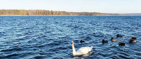 Entspannung pur am Werbellinsee im Winter