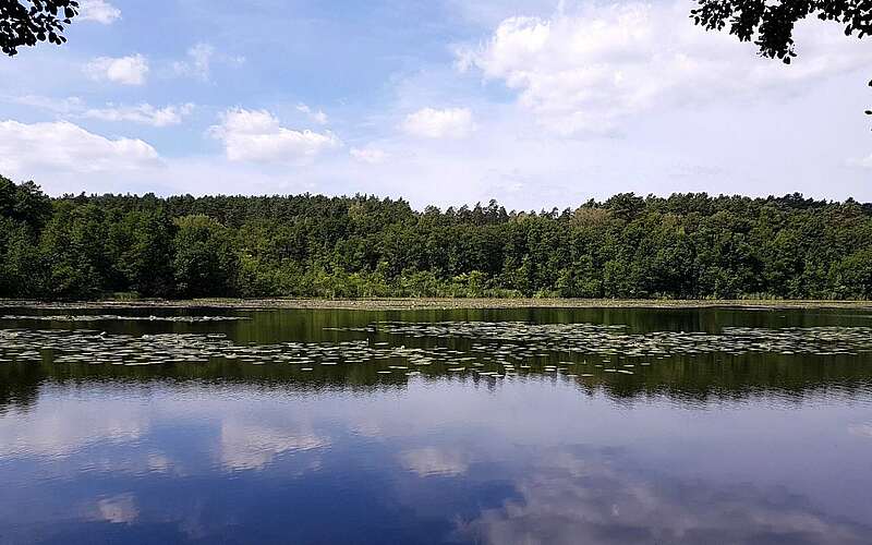 



        
            Strehlesee im Naturpark Barnim,
        
    

        Foto: TMB-Fotoarchiv/Frank Meyer
    