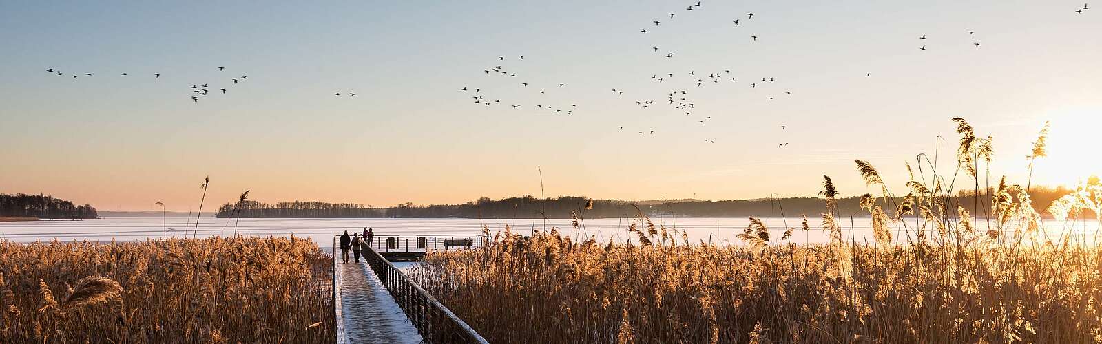 Winterlicher Scharmützelsee,
        
    

        Foto: TMB-Fotoarchiv/Yorck Maecke