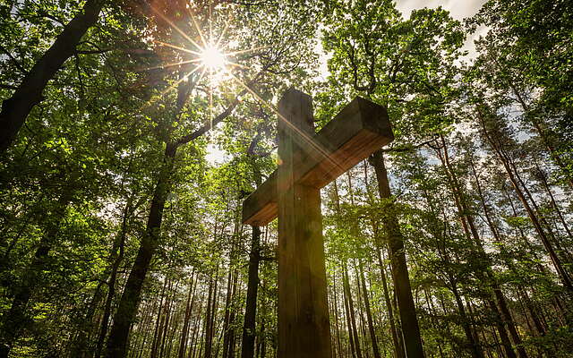 Wanderung zum Gipfelkreuz