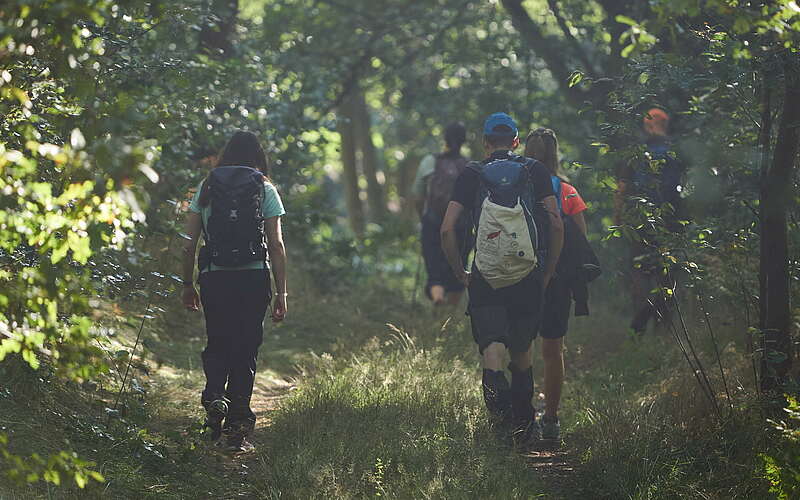 



        
            Fontane-Wandermarathon 2022,
        
    

        Foto: Tourismusverband Ruppiner Seenland e.V./Thomas Janowitz
    