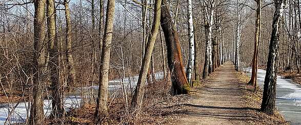 Winterwanderung im Spreewald