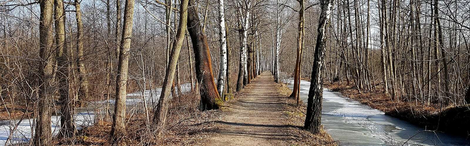 Spreewald im Winter,
        
    

        Foto: TMB-Fotoarchiv/Frank Meyer