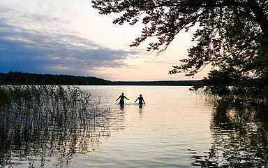 Badende im Stechlinsee