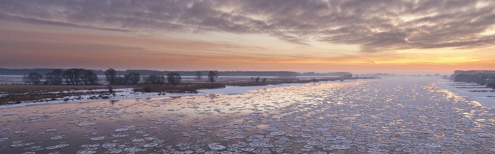 Elbe bei Wittenberge,
        
    

        Foto: TMB-Fotoarchiv/Dieter Damschen