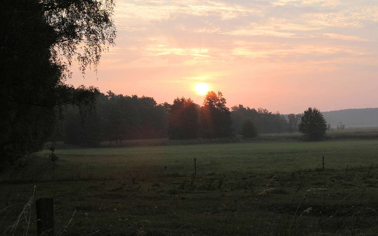 Idylle in der Prignitz: Sonnenuntergang im Rambower Moor.