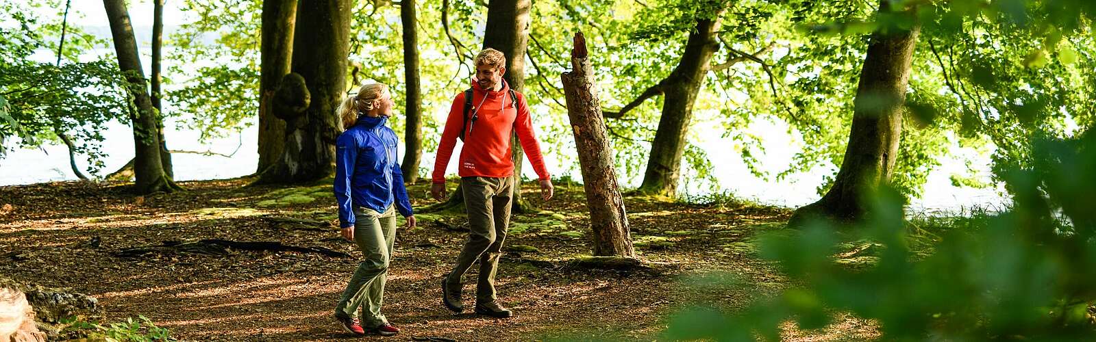 Wanderer im Naturpark Stechlin-Ruppiner Land,
        
    

        Foto: TMB-Fotoarchiv/Wolfgang Ehn