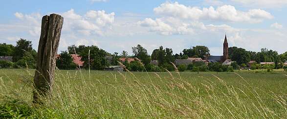 Ökodorf Brodowin setzt seit 25 Jahren auf Bio-Landwirtschaft