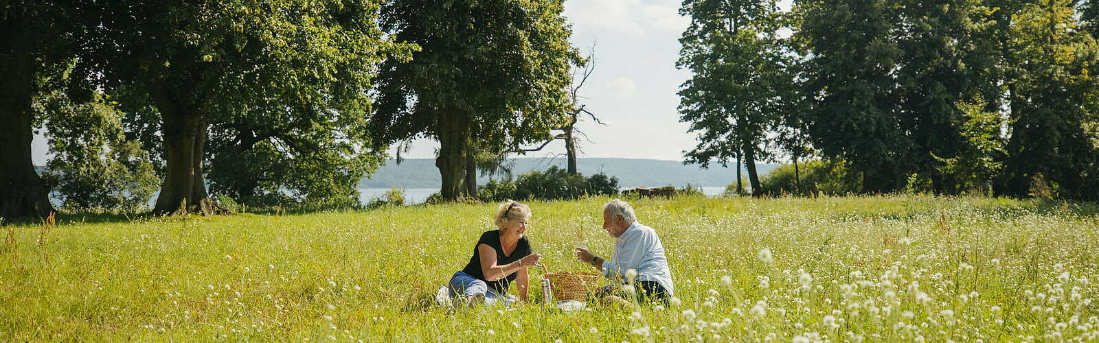 Picknick auf der Blumenwiese,
        
    

        Foto: TMB-Fotoarchiv/Julia Nimke