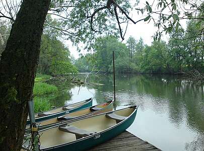 Kanu an der Alten Oder