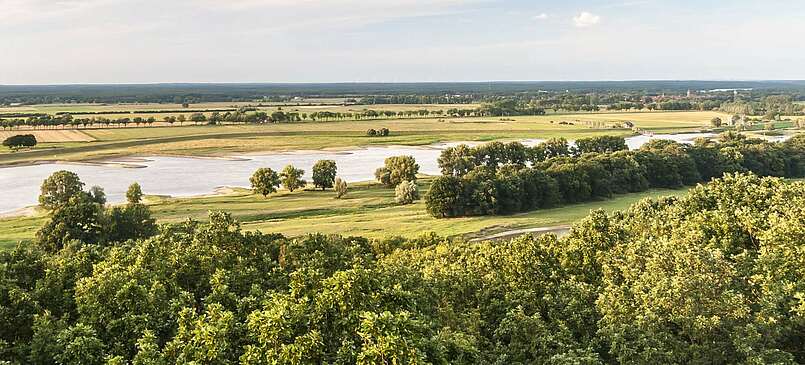 Prignitz: Naturerlebnis am großen Strom