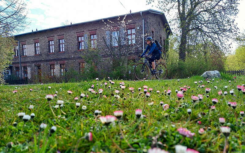 



        
            Auf dem Havel-Radweg in der Nähe von Zehdenick,
        
    

        Foto: Tourismusverband Ruppiner Seenland e.V./Michelle Engel
    