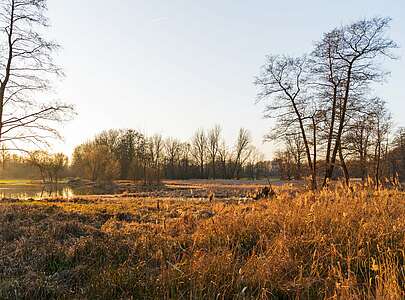 Winterlicher Spreewald zwischen Lübbenau und Lehde